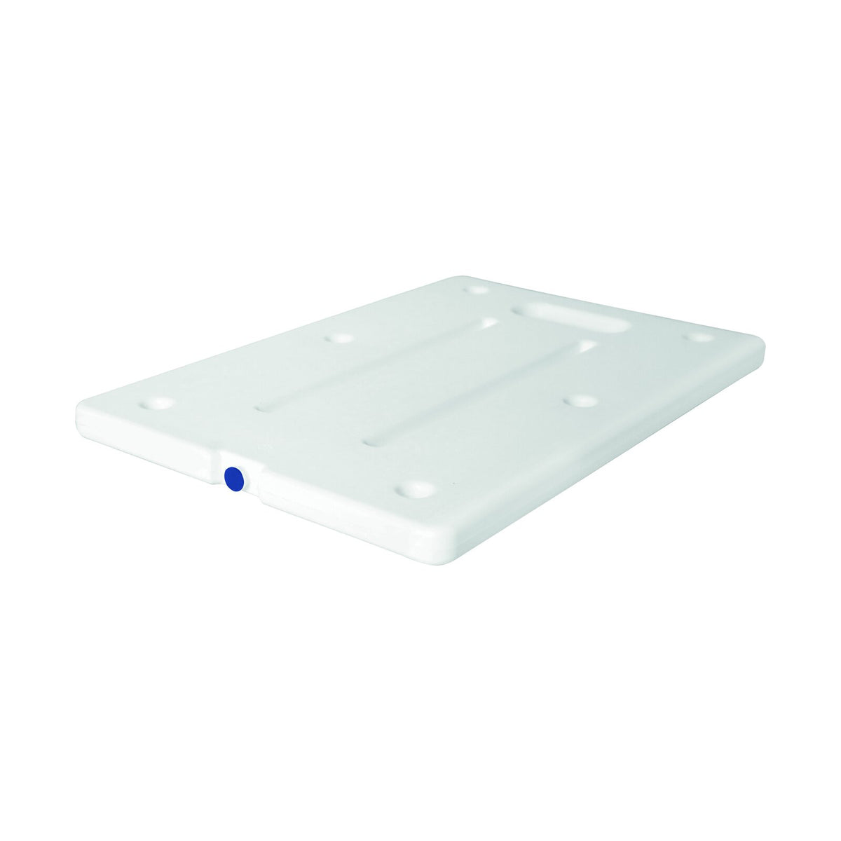 Schneider cooling element 60x40 -12 °C, HDPE, 600 x 400 x 30 mm
