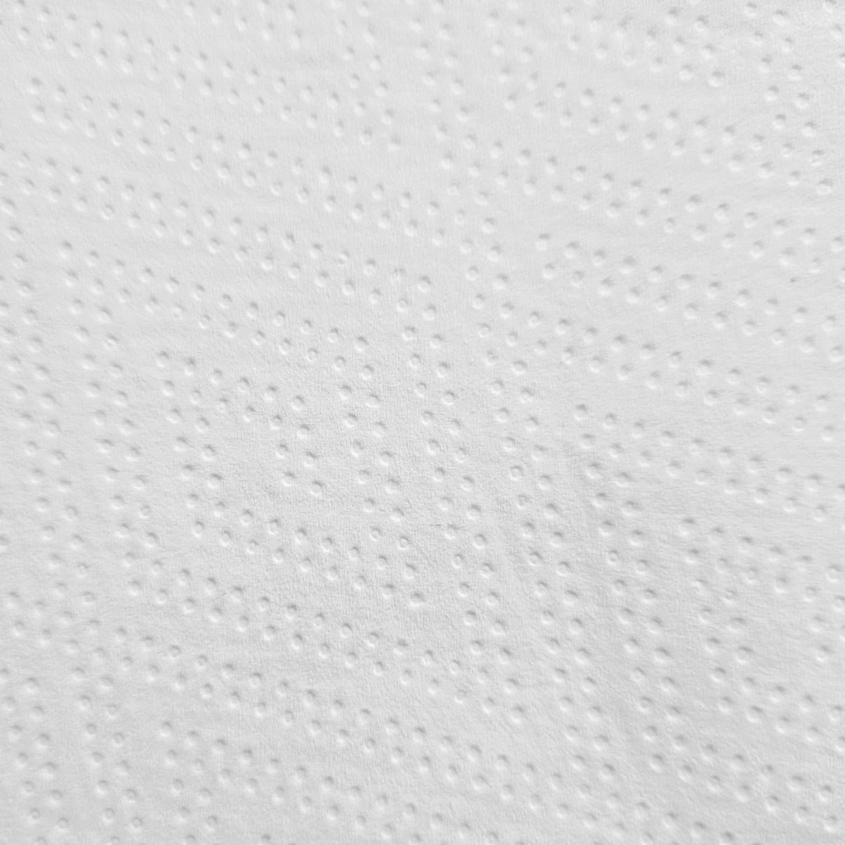 Racon Premium Falthandtücher 2-lagig, Zellstoff-Tissue, hochweiß, 23 x 22 cm – Karton mit 4.050 Tüchern (15 x 270)