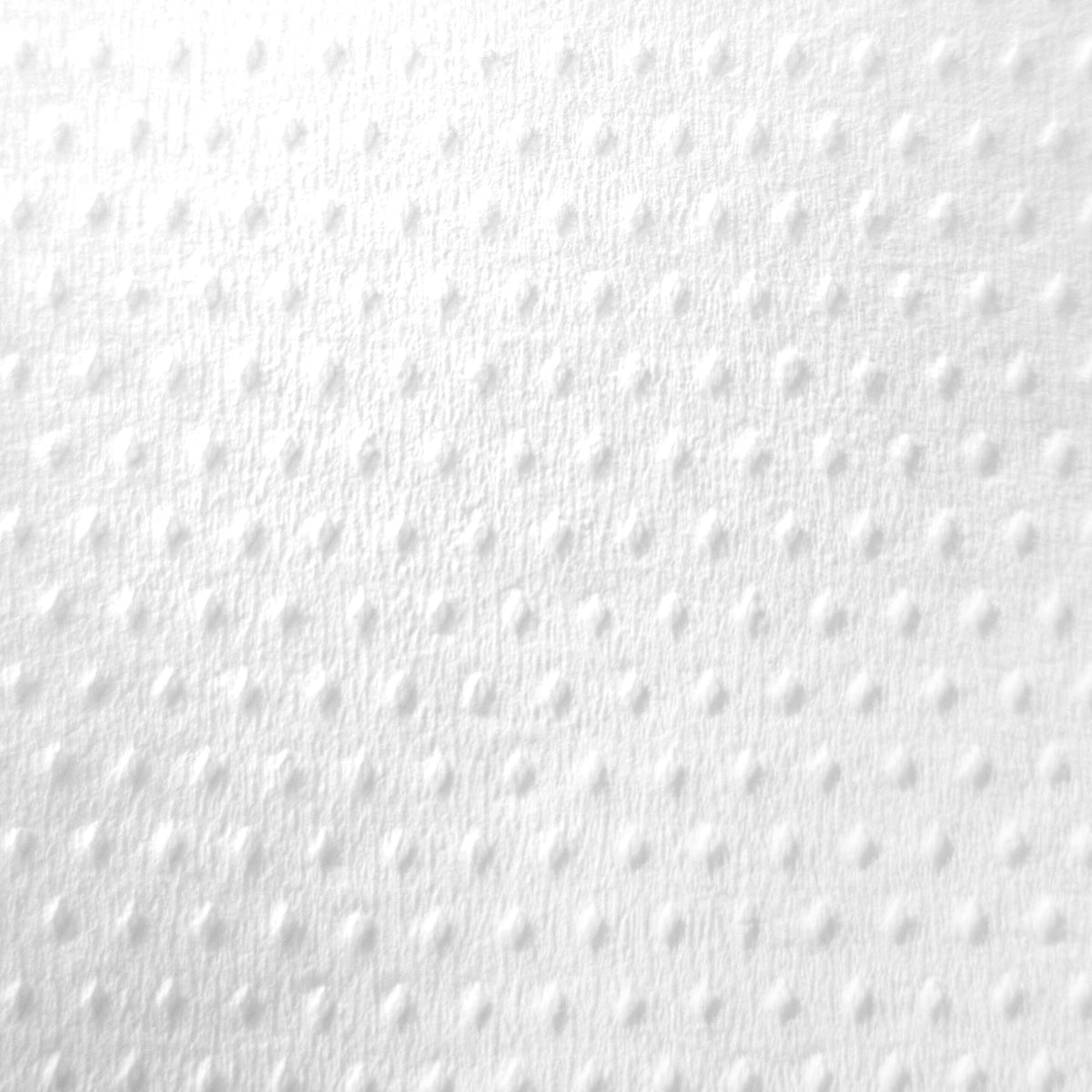 Racon Premium Handtuchrolle 2-lagig hochweiß, 20,3 x 34 cm, 220 Blatt, perforiert – Pack mit 12 Rollen