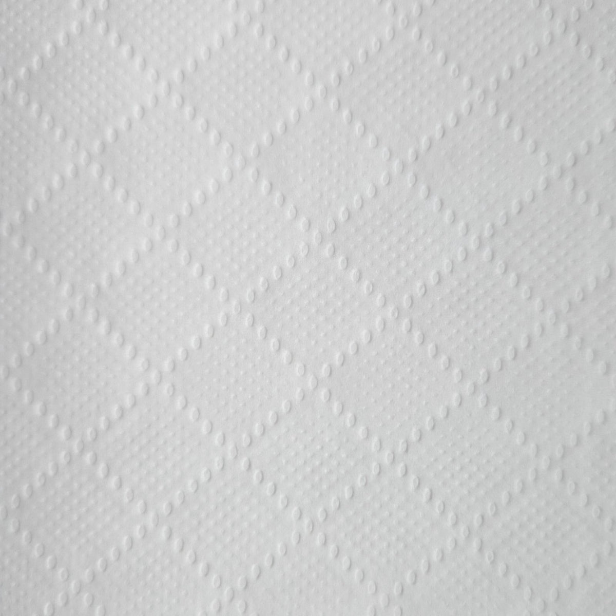 Racon Premium Handtuchrolle 2-lagig hochweiß, 20 x 36 cm, 450 Blatt, perforiert – Pack mit 6 Rollen